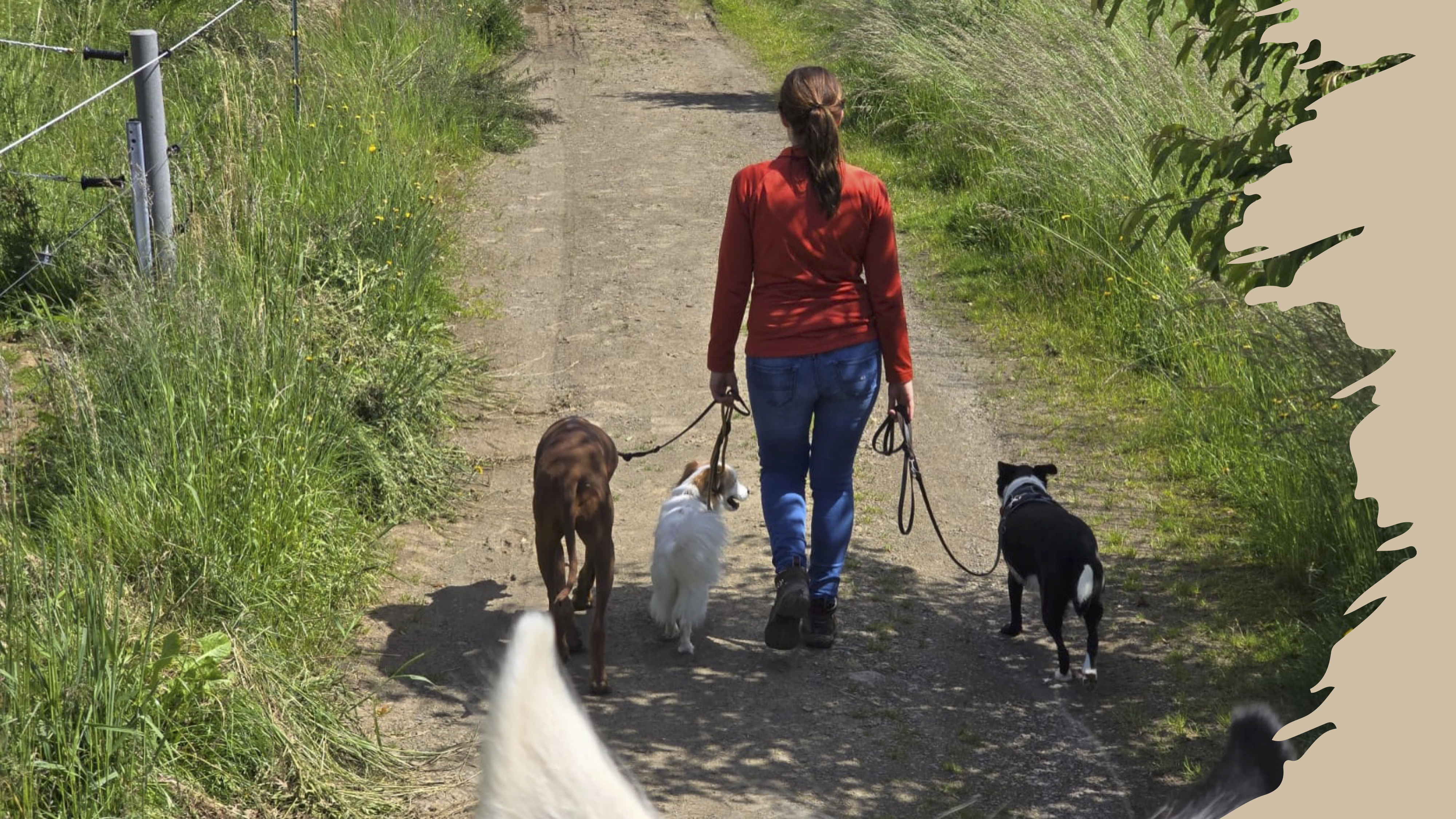 Alltagshelden-Gruppen